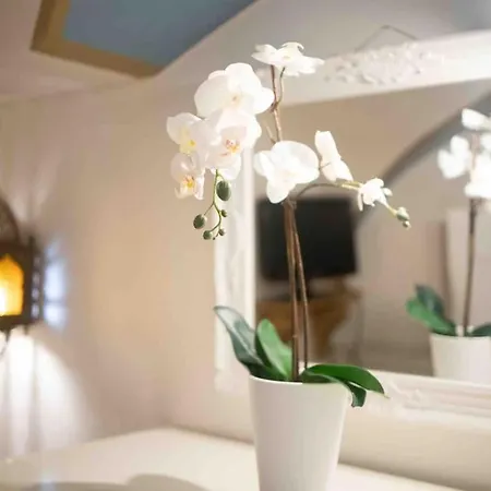 Via Dei Cestari Loft 아파트