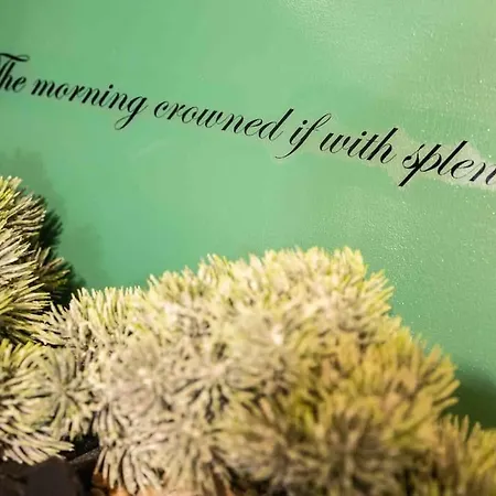 Apartamento Via Dei Cestari Loft